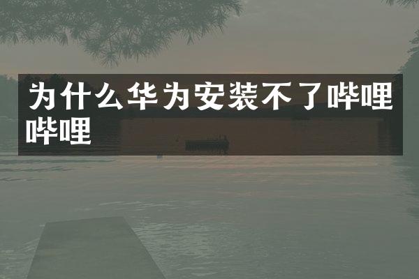 为什么华为安装不了哔哩哔哩
