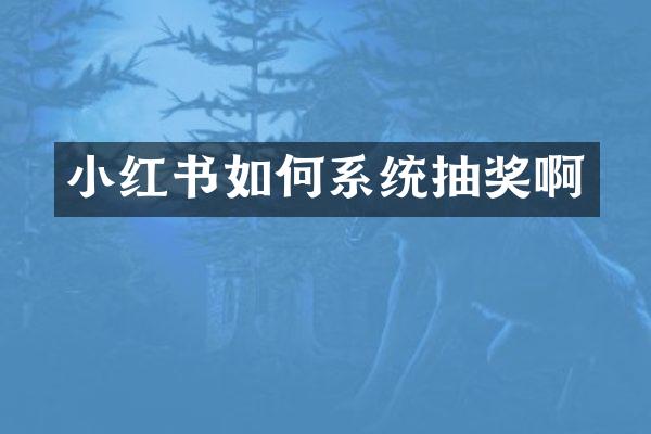 小红书如何系统抽奖啊