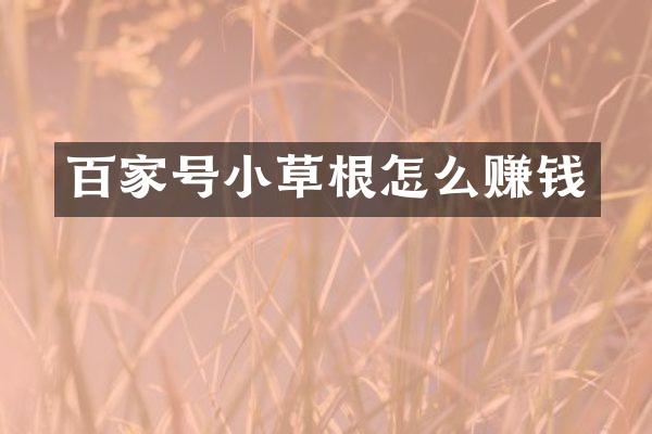 百家号小草根怎么赚钱