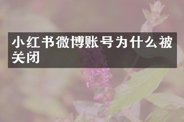 小红书微博账号为什么被关闭