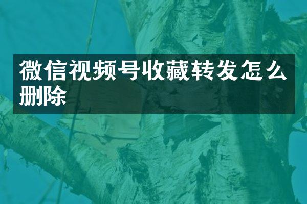 微信视频号收藏转发怎么删除