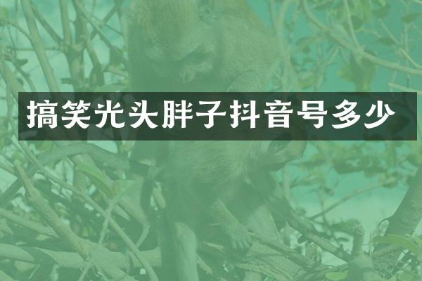 搞笑光头胖子抖音号多少