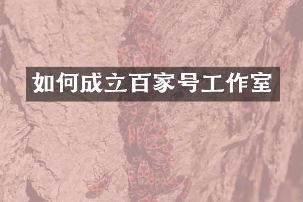 如何成立百家号工作室