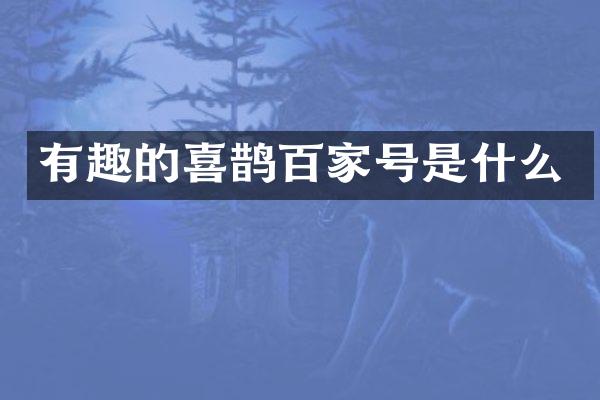 有趣的喜鹊百家号是什么