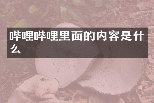 哔哩哔哩里面的内容是什么