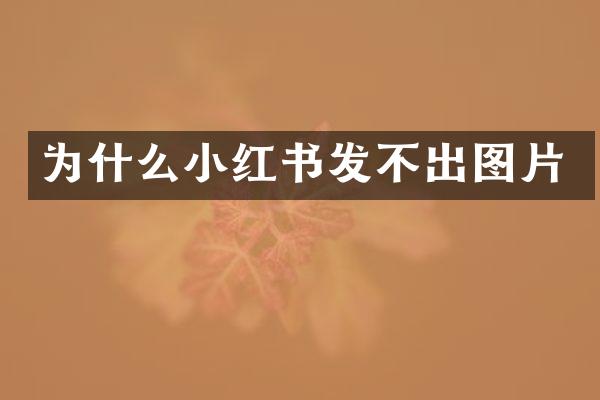为什么小红书发不出图片
