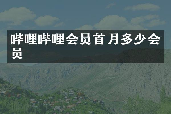 哔哩哔哩会员首月多少会员