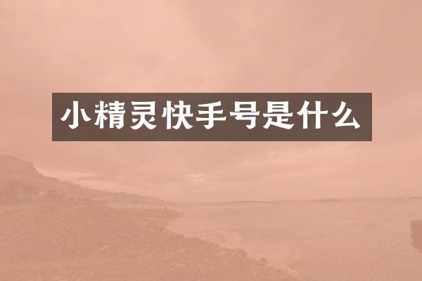 小精灵快手号是什么