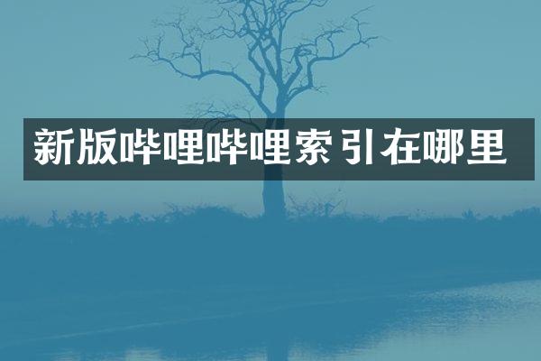 新版哔哩哔哩索引在哪里