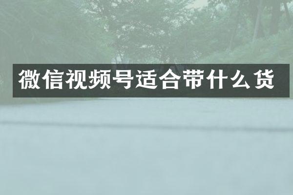微信视频号适合带什么货