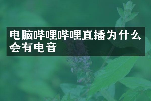 电脑哔哩哔哩直播为什么会有电音