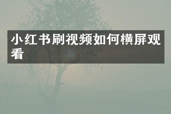 小红书刷视频如何横屏观看