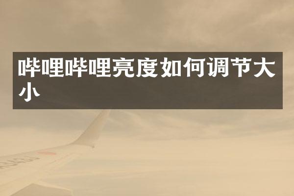 哔哩哔哩亮度如何调节大小