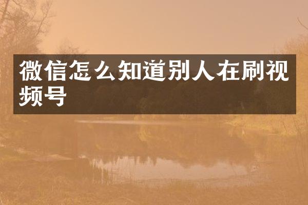 微信怎么知道别人在刷视频号
