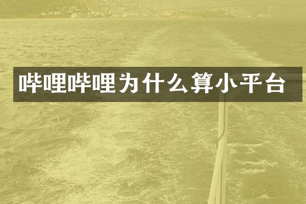 哔哩哔哩为什么算小平台
