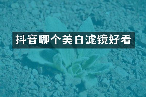 抖音哪个美白滤镜好看