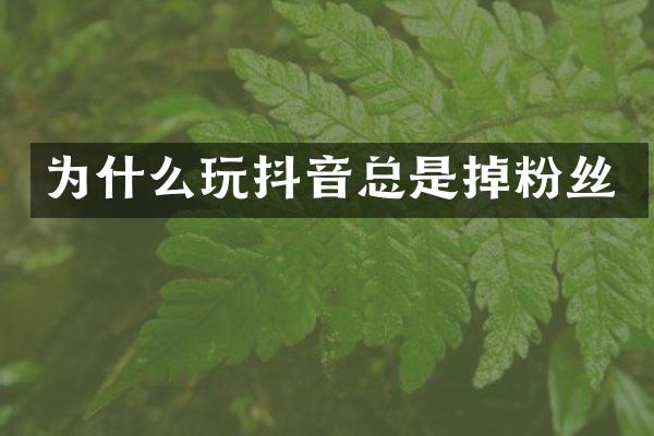 为什么玩抖音总是掉粉丝