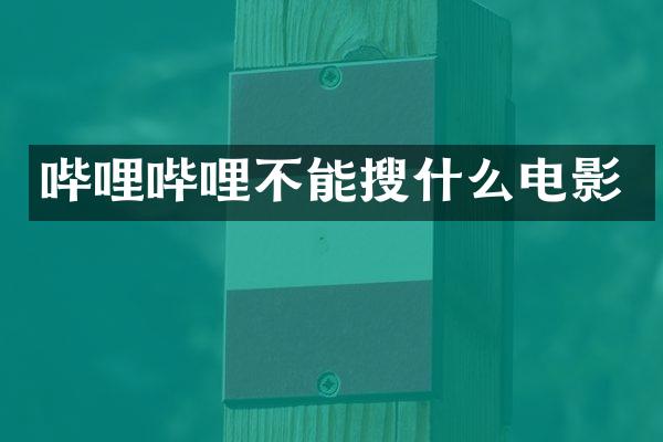 哔哩哔哩不能搜什么电影
