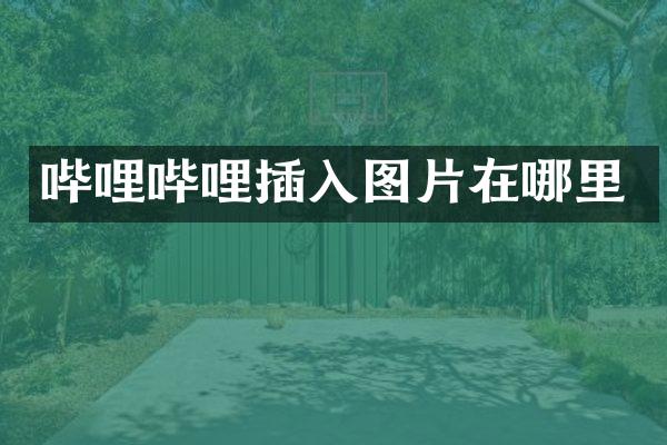 哔哩哔哩插入图片在哪里
