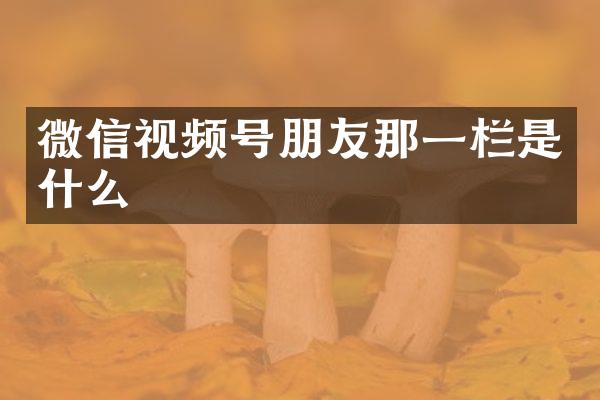 微信视频号朋友那一栏是什么