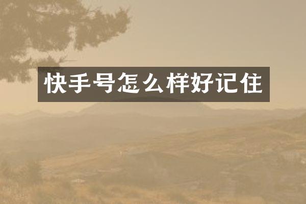 快手号怎么样好记住