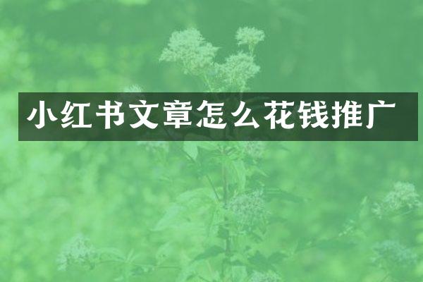小红书文章怎么花钱推广