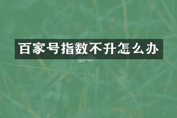 百家号指数不升怎么办