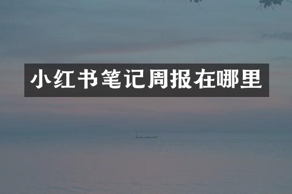 小红书笔记周报在哪里