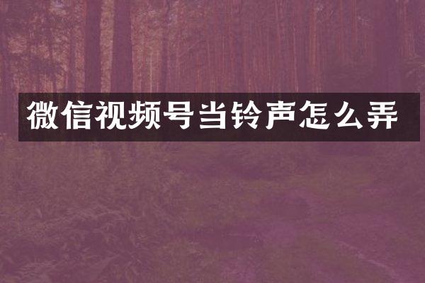 微信视频号当铃声怎么弄
