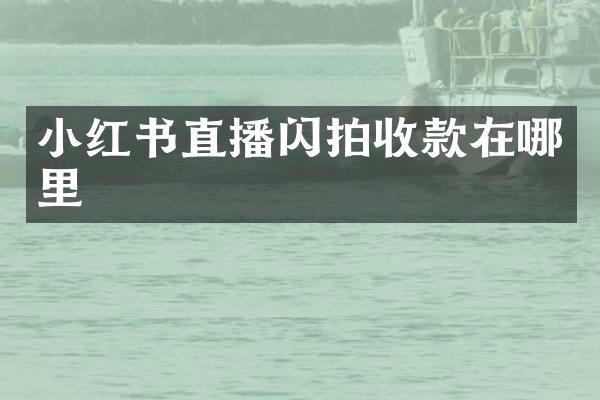 小红书直播闪拍收款在哪里