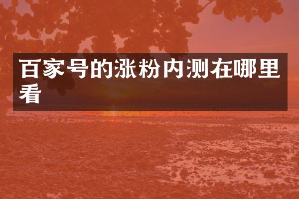 百家号的涨粉内测在哪里看