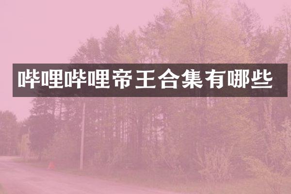 哔哩哔哩帝王有哪些