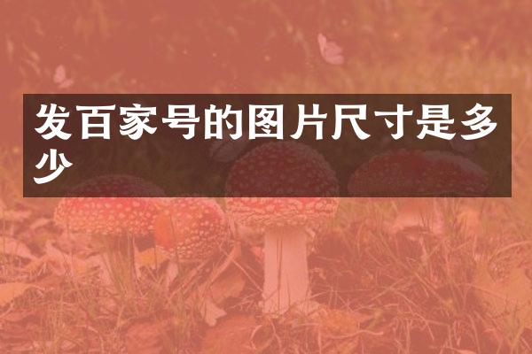 发百家号的图片尺寸是多少