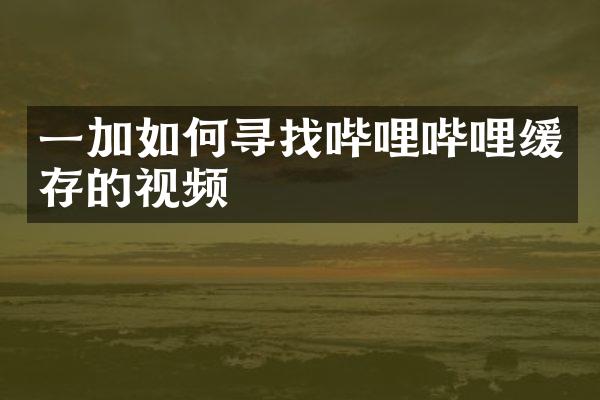 一加如何寻找哔哩哔哩缓存的视频