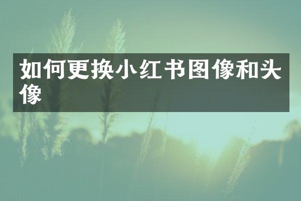 如何更换小红书图像和头像