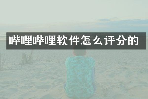 哔哩哔哩软件怎么评分的