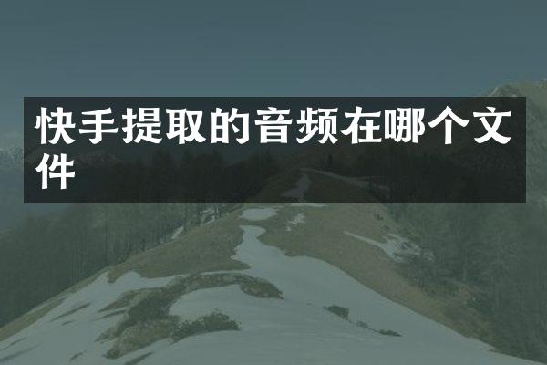 快手提取的音频在哪个文件