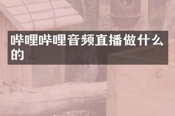 哔哩哔哩音频直播做什么的