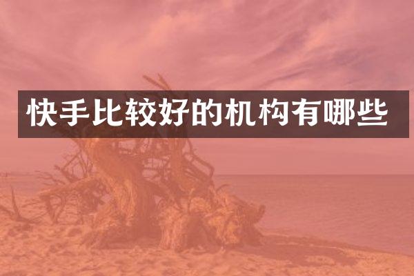 快手比较好的机构有哪些