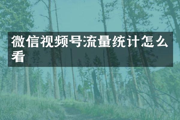 微信视频号流量统计怎么看