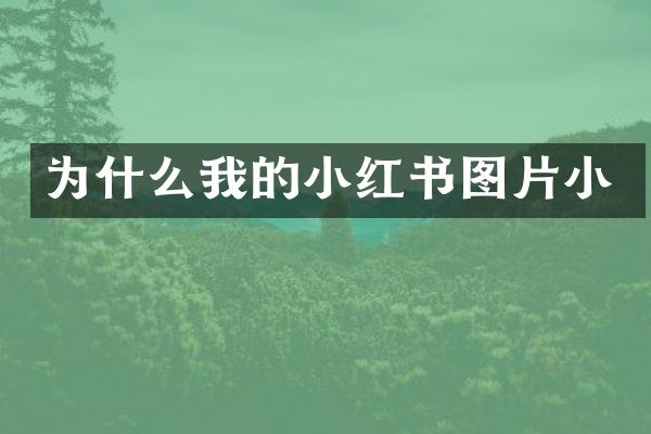 为什么我的小红书图片小
