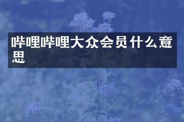 哔哩哔哩大众会员什么意思