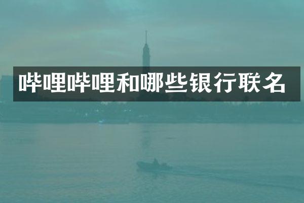 哔哩哔哩和哪些银行联名
