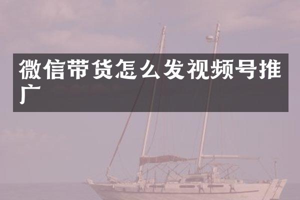 微信带货怎么发视频号推广