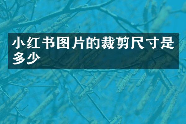 小红书图片的裁剪尺寸是多少