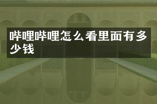 哔哩哔哩怎么看里面有多少钱