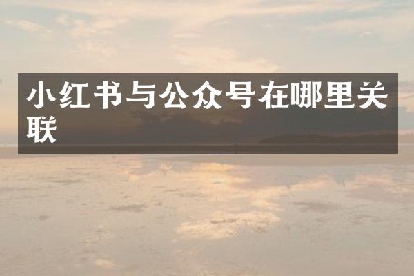 小红书与公众号在哪里关联