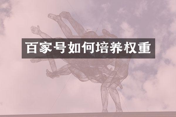 百家号如何培养权重