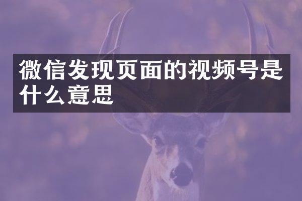微信发现页面的视频号是什么意思