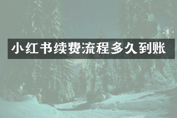 小红书续费流程多久到账